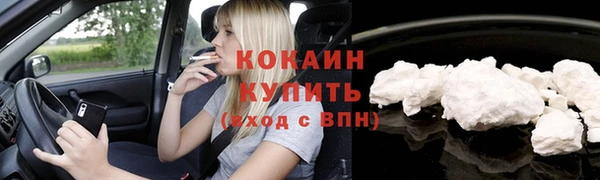 СК Алексин