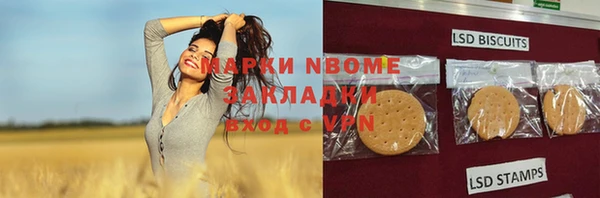 ПСИЛОЦИБИНОВЫЕ ГРИБЫ Алзамай