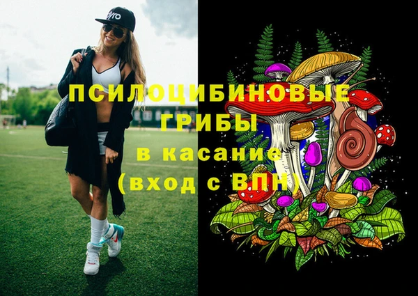 стафф Арсеньев