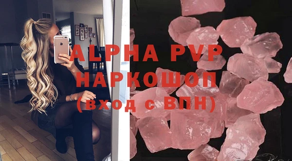 СК Алексин