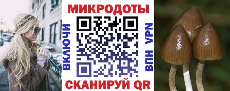 Галлюциногенные грибы Magic Shrooms  Купить  Выкса 